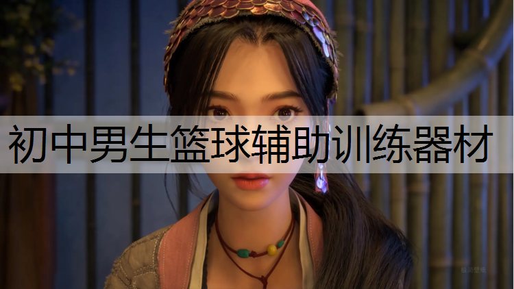 <strong>初中男生篮球辅助训练器材</strong>