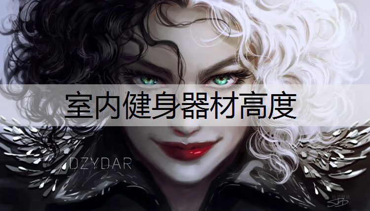 <strong>室内健身器材高度</strong>