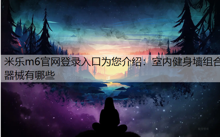 室内健身墙组合器械有哪些