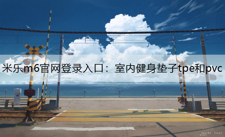 室内健身垫子tpe和pvc