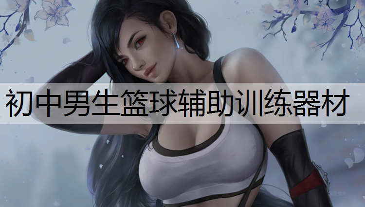 初中男生篮球辅助训练器材