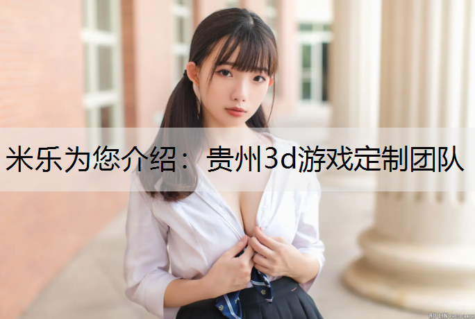 贵州3d游戏定制团队