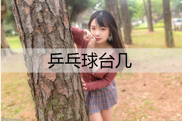 乒乓球台几