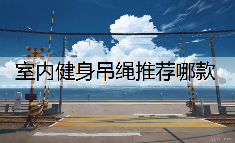室内健身吊绳推荐哪款