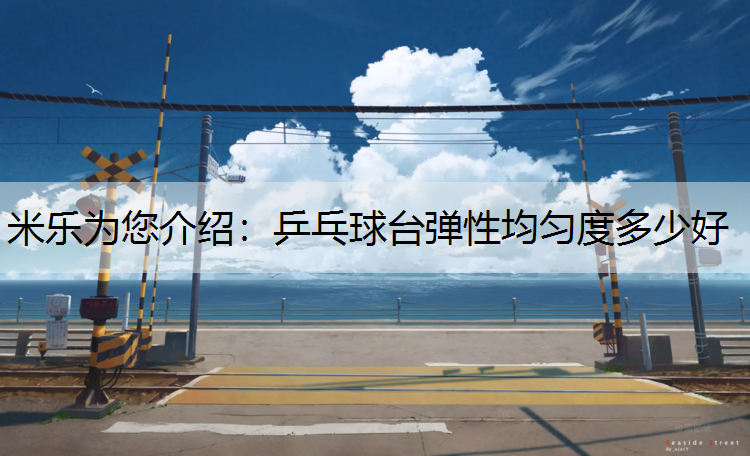 乒乓球台弹性均匀度多少好